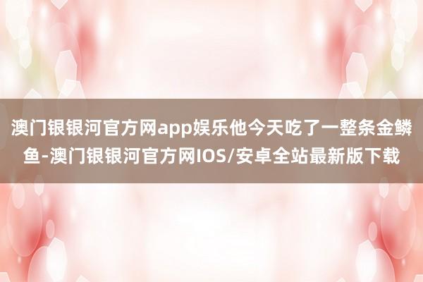 澳门银银河官方网app娱乐他今天吃了一整条金鳞鱼-澳门银银河官方网IOS/安卓全站最新版下载